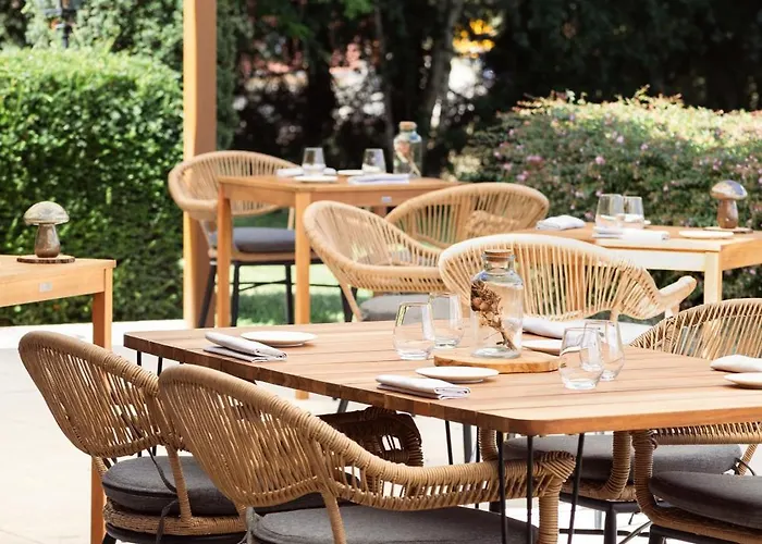 L'arborescence קרוזיי